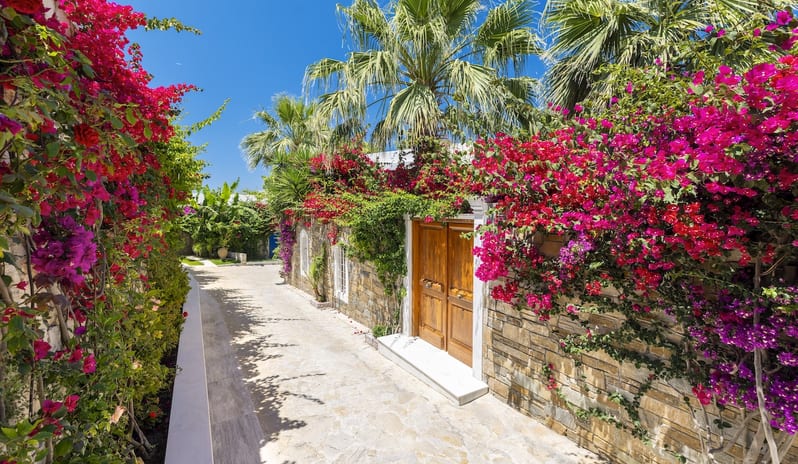 ONE Royal Spa Villa, Exterior